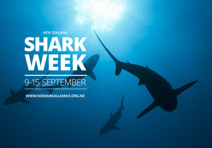 Week 37 of 2013 – Gansbaai News, Specials & Events